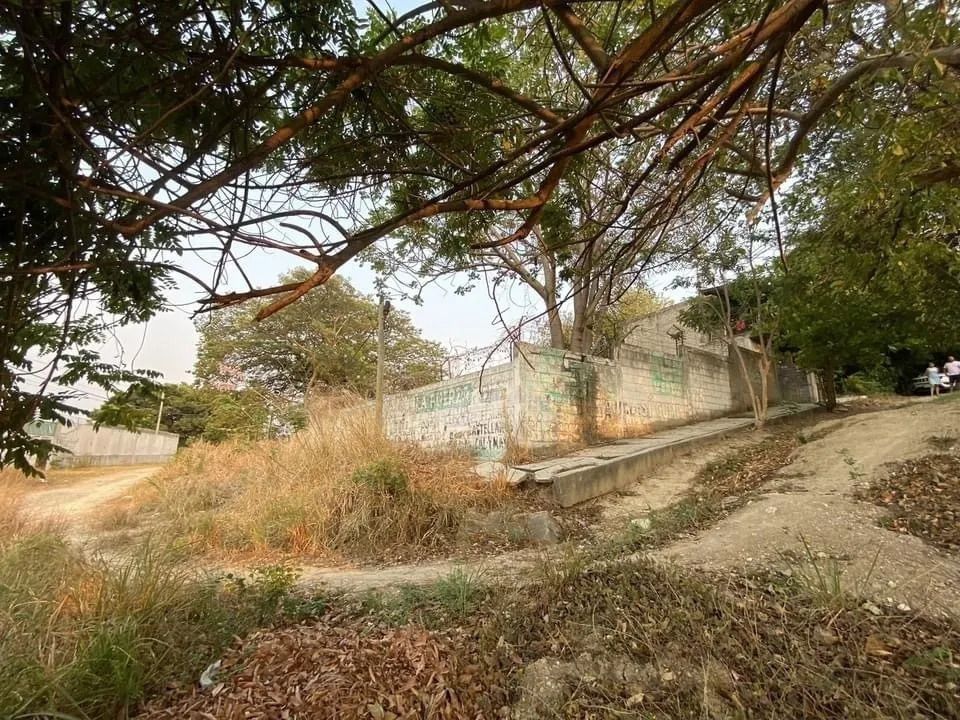 3 de 5