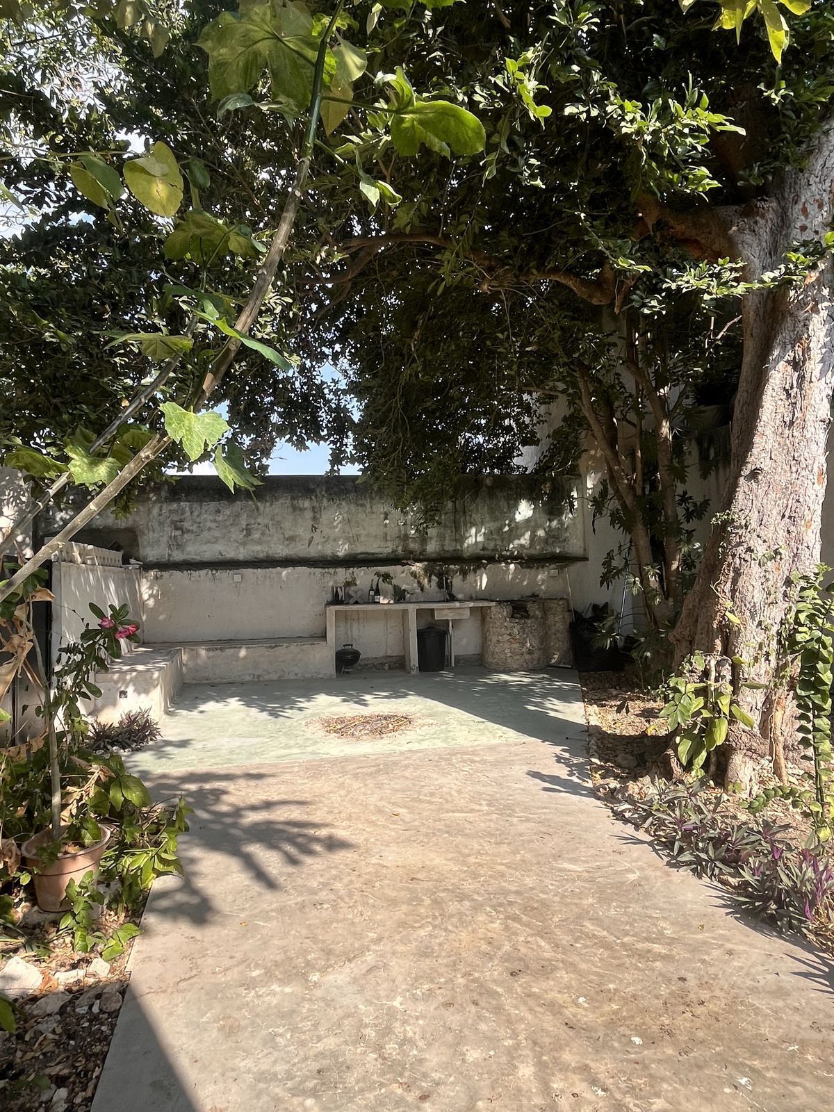 14 de 15