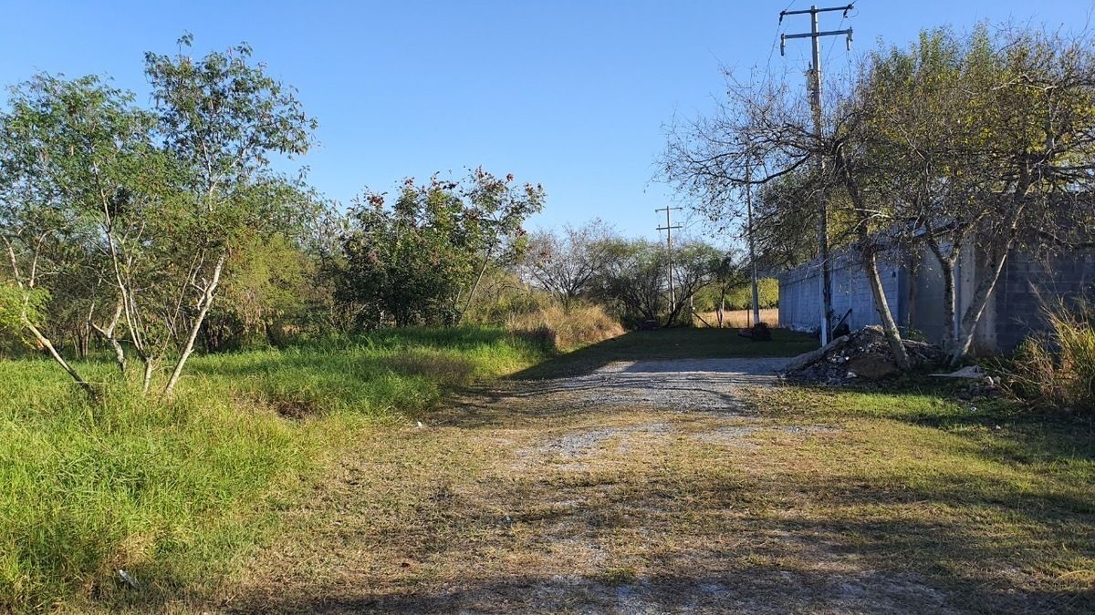 1 de 3