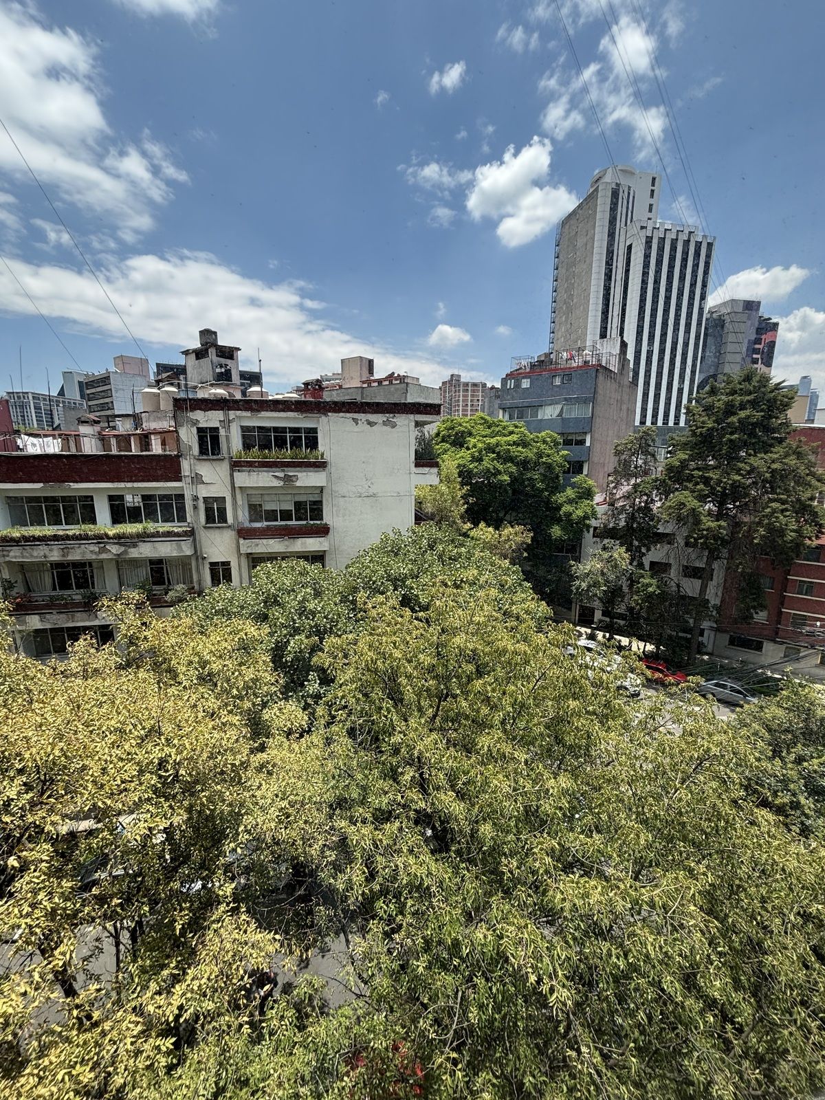 9 de 33