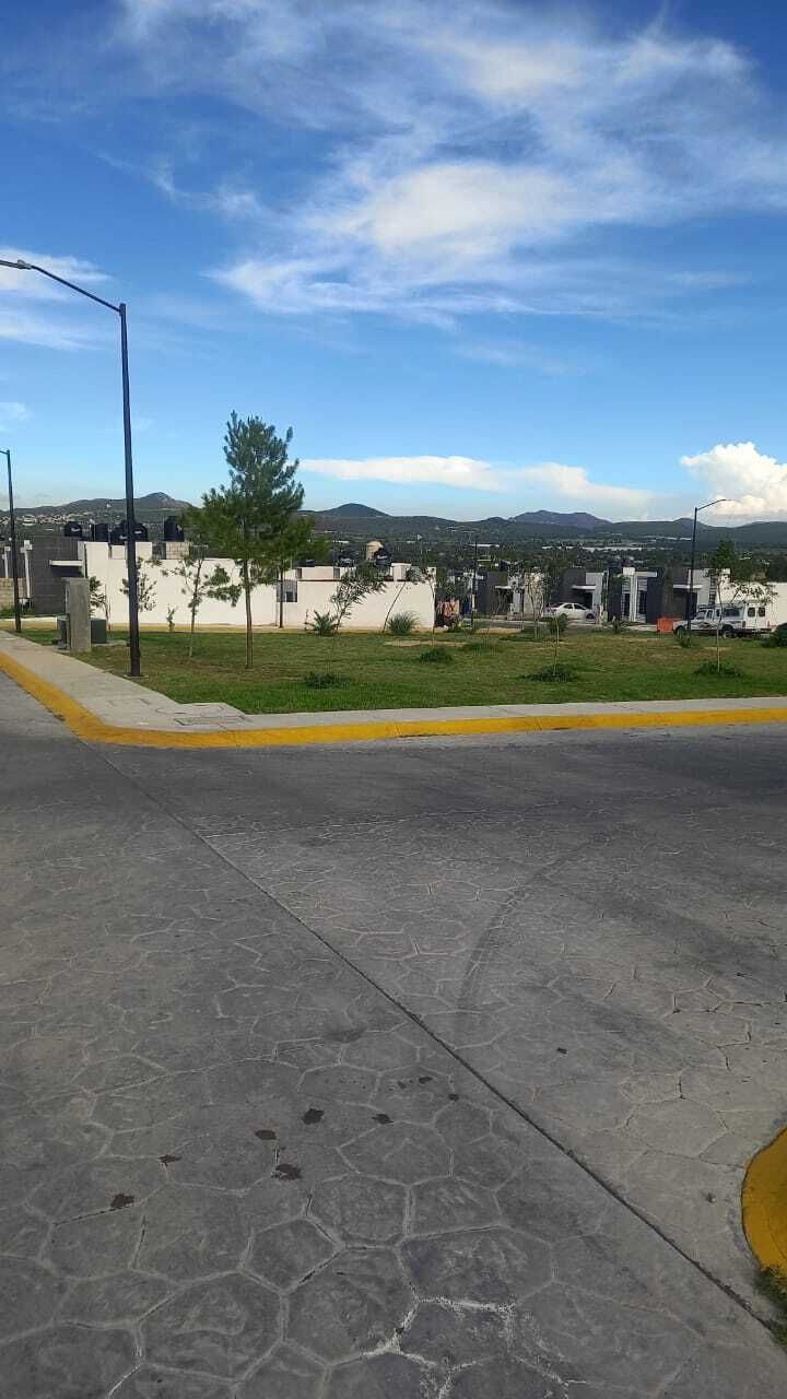 4 of 14