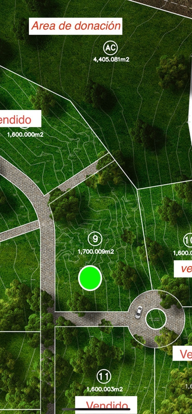 7 de 11