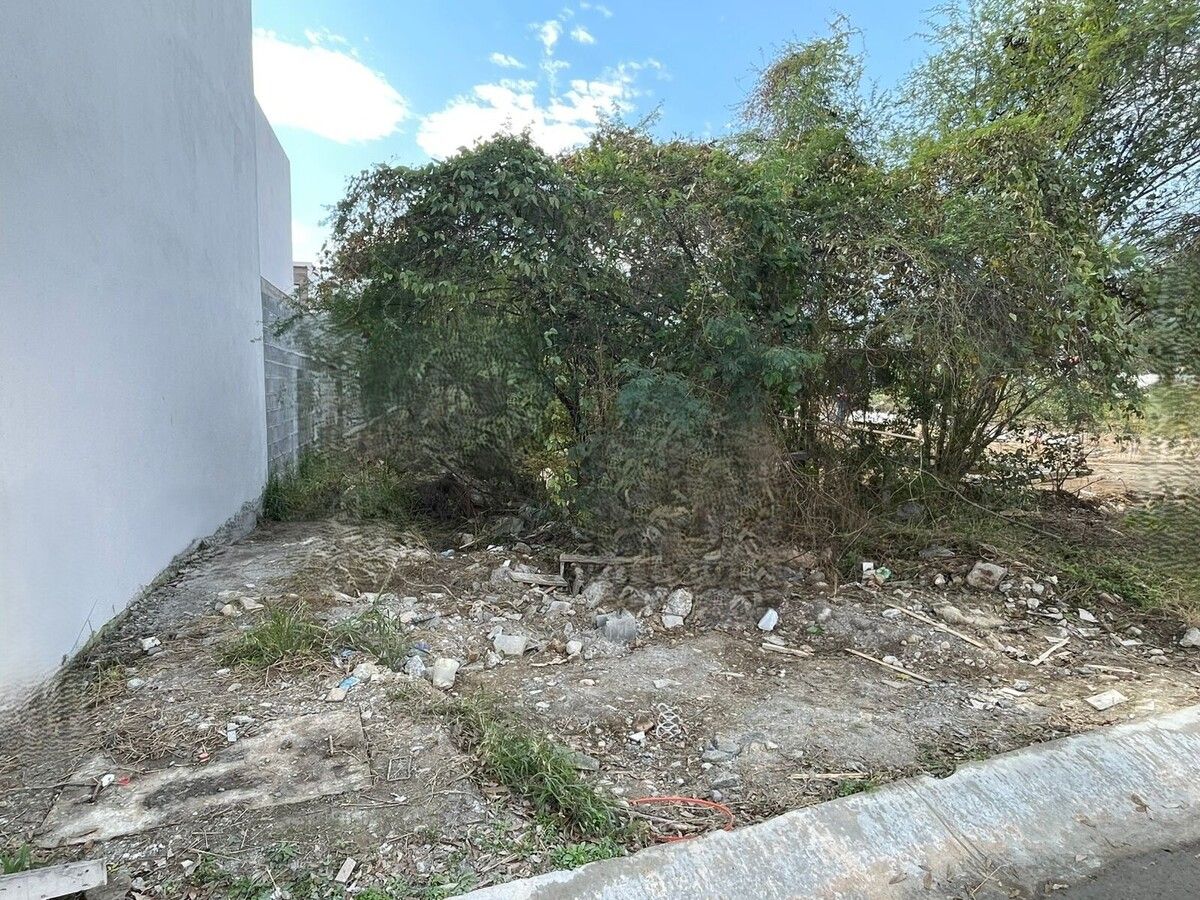 2 de 7