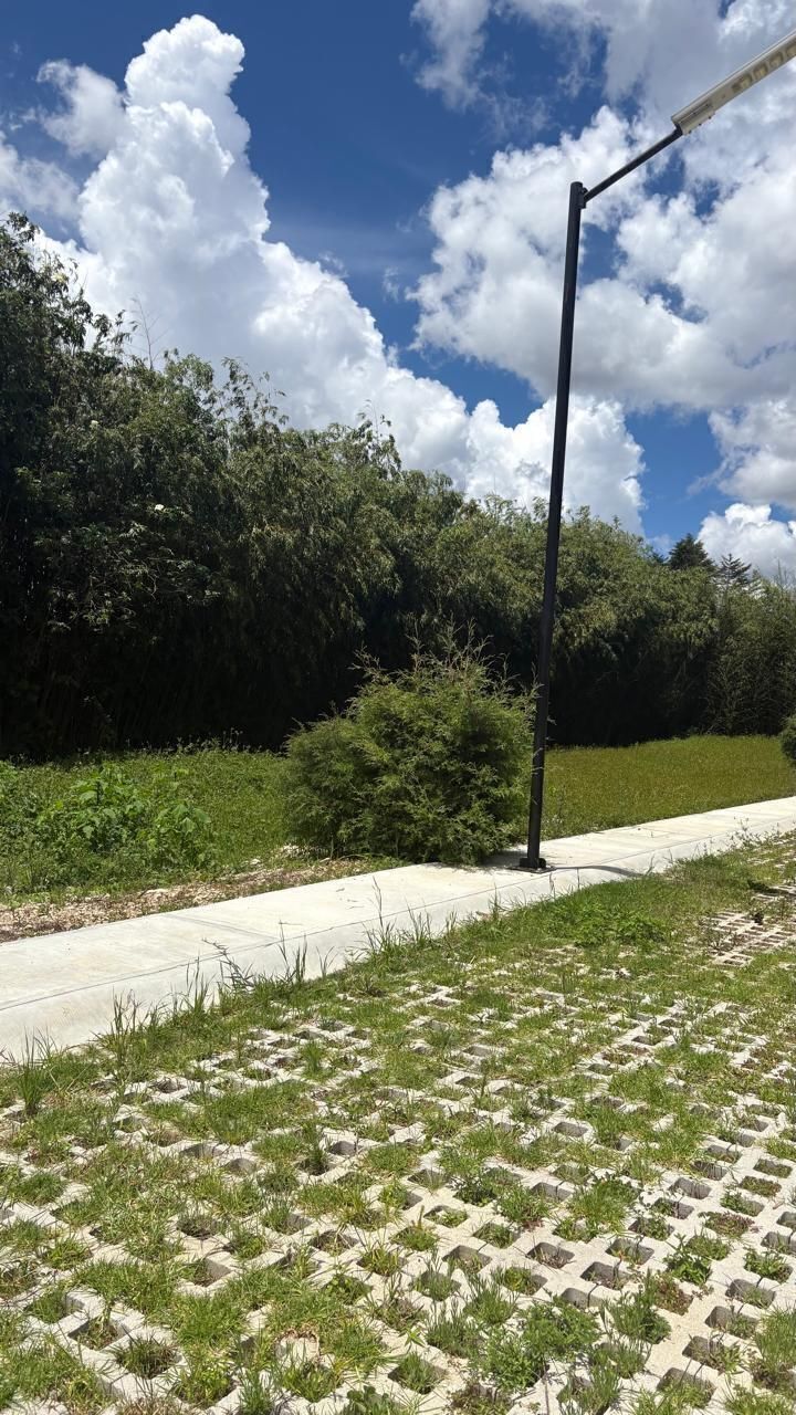 7 de 11