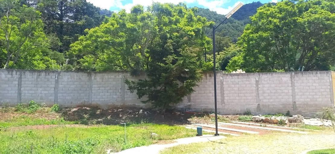 11 de 11