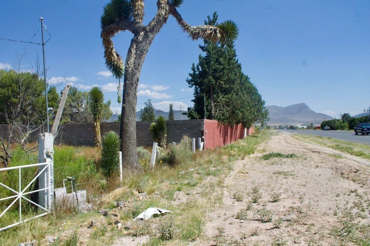 3 de 20