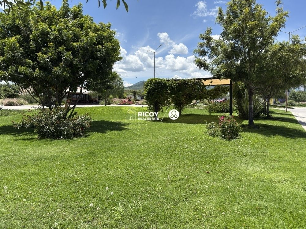 5 de 14