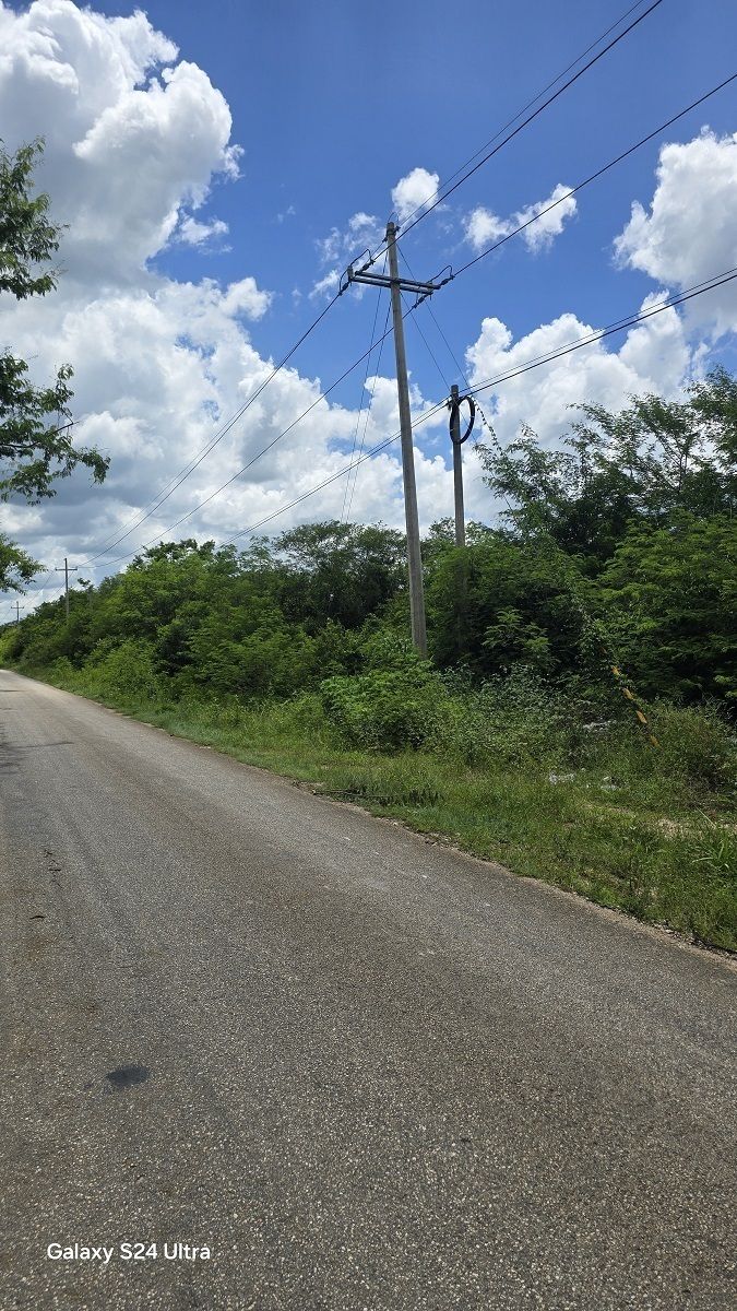 7 de 8: Carretera pavimentada a la orilla de acceso del predio