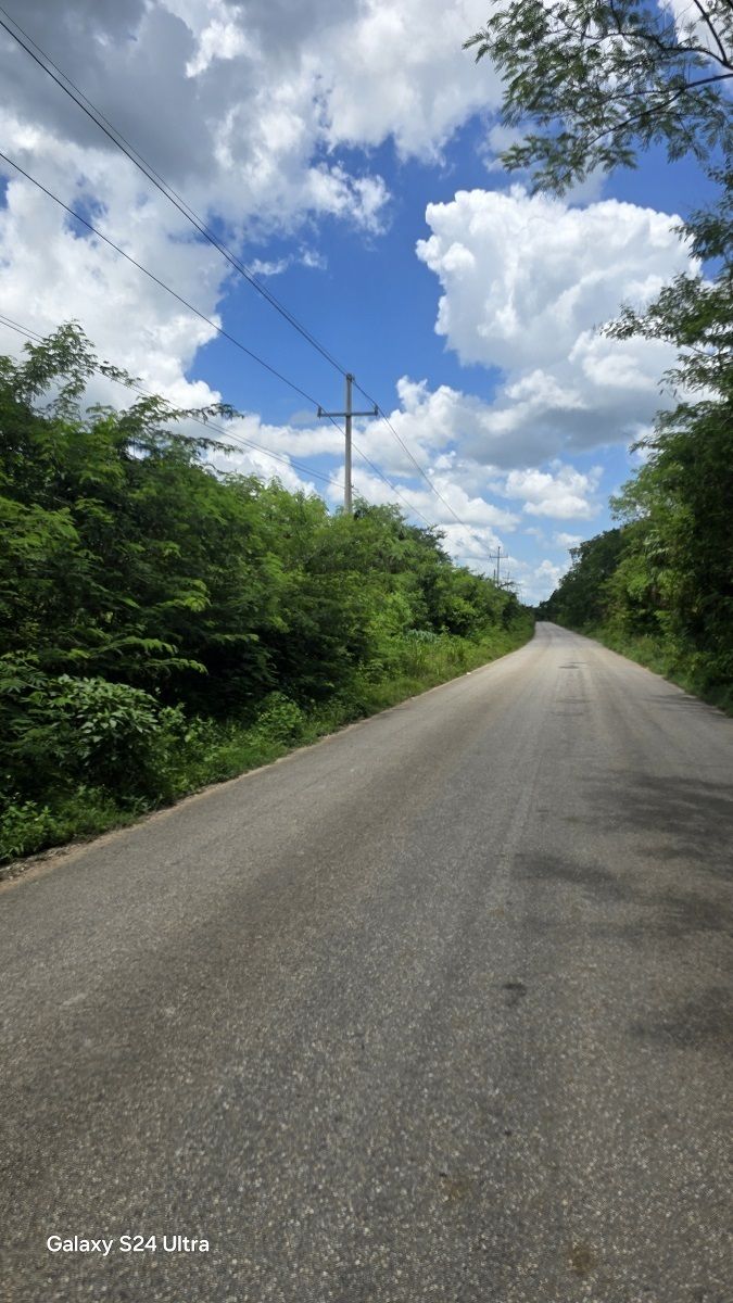8 de 8: Otra vista de la carretera para el acceso hacia el predio