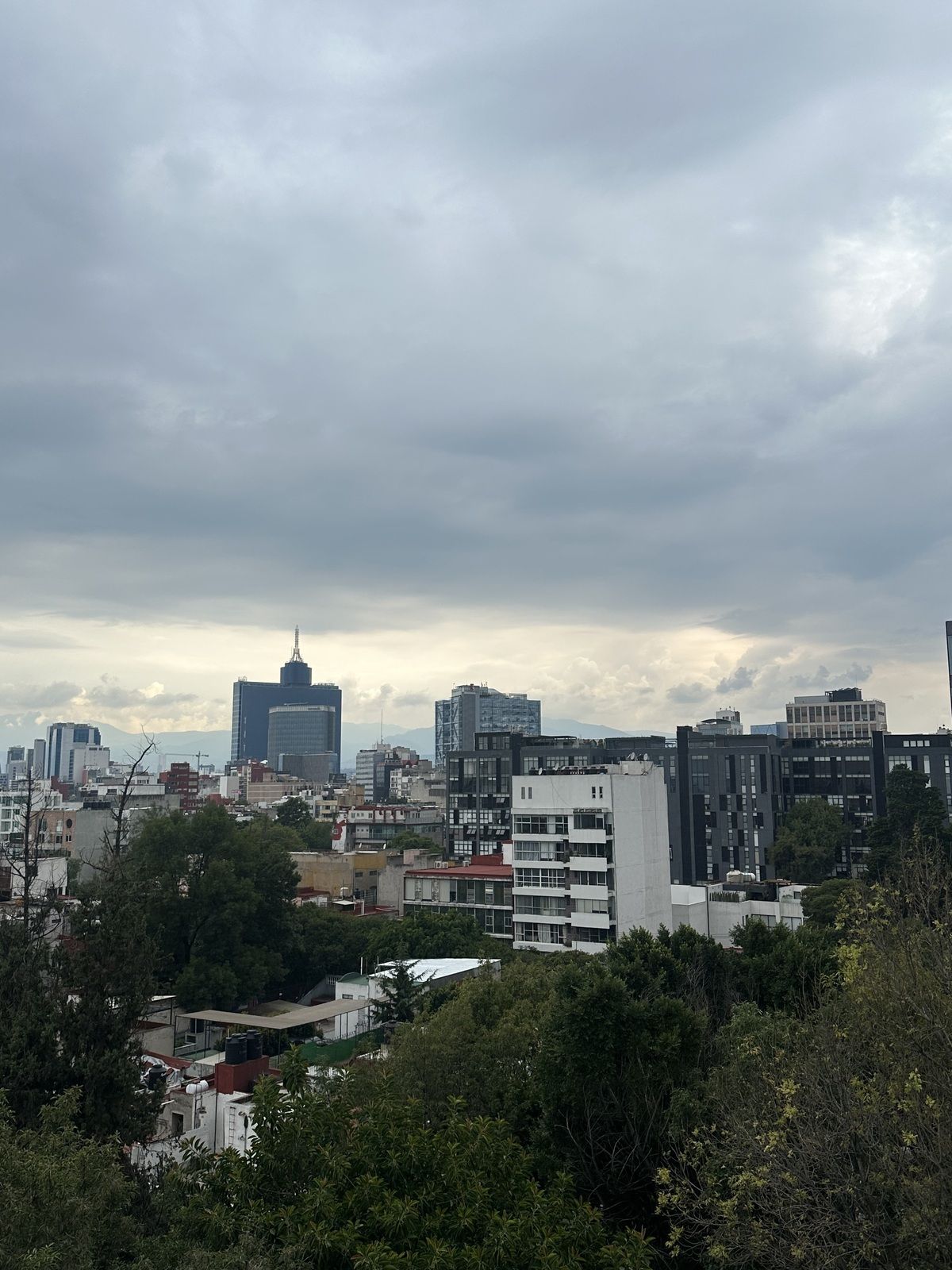 16 de 16