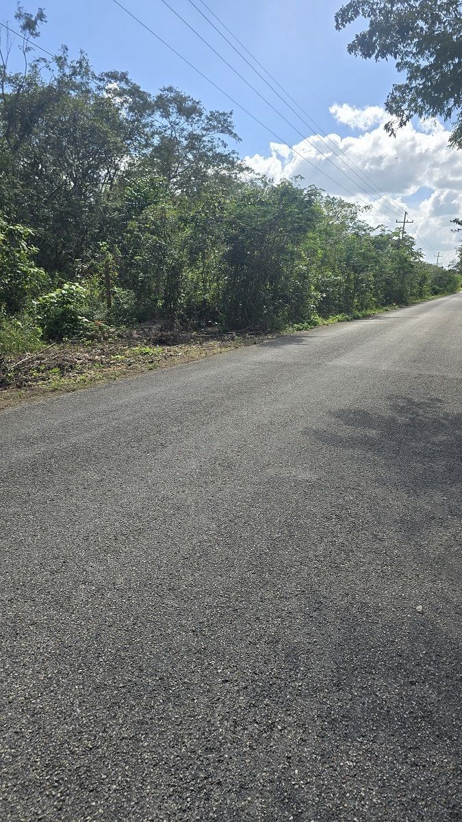 5 de 22: Camino de acceso, una de las 2 entradas