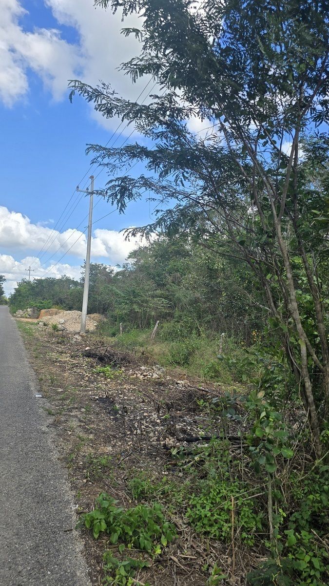 8 de 22: La linea de luz eléctrica, frente al predio