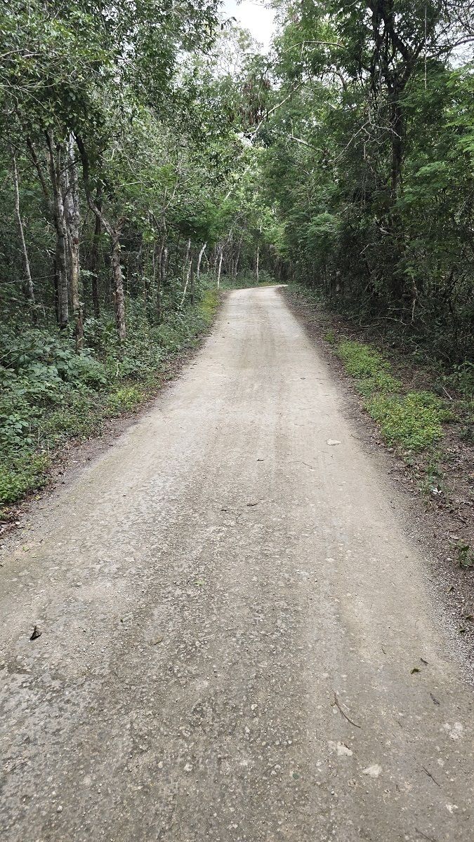 14 de 22: Camino de acceso por la parte trasera