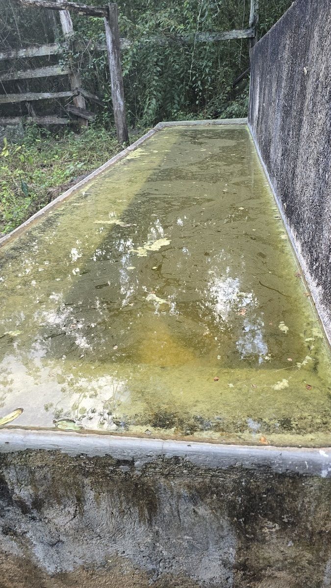 22 de 22: Tanque de agua del rancho