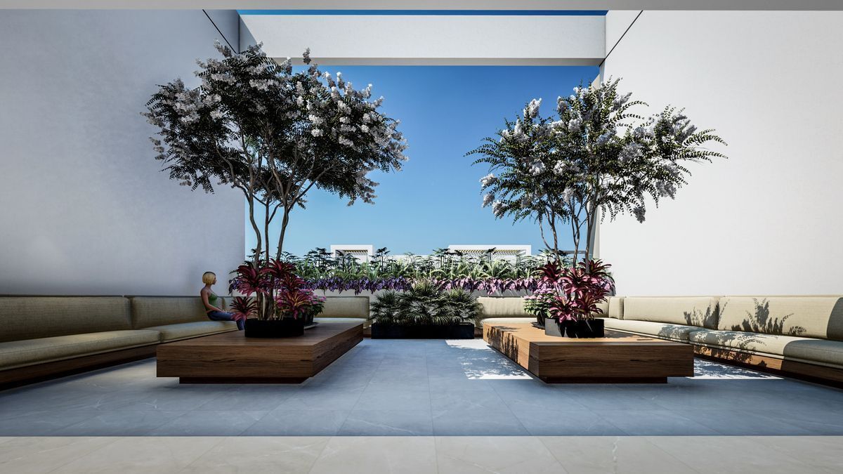 6 de 8: Terraza