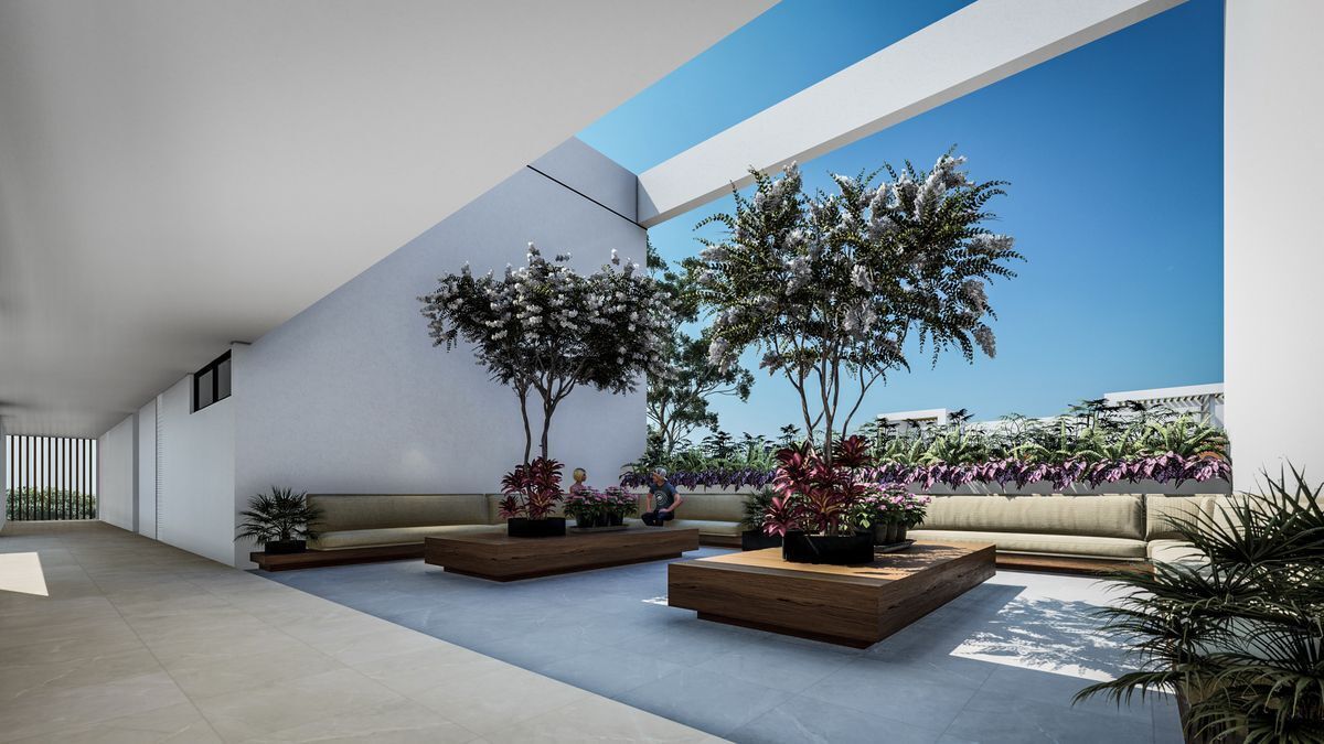 8 de 8: Terraza