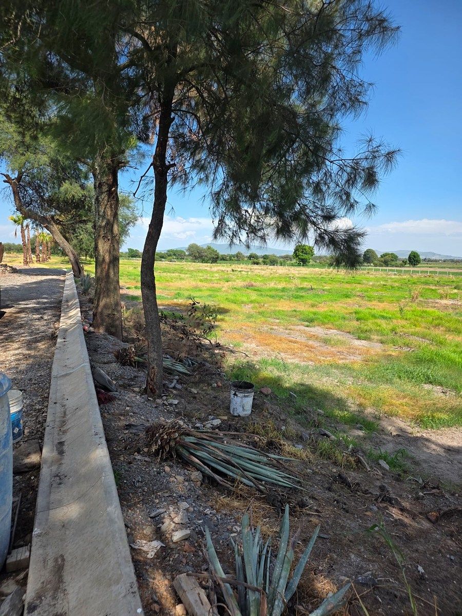 Terreno en El Rosario, Ocotlán, foto 7 de 9