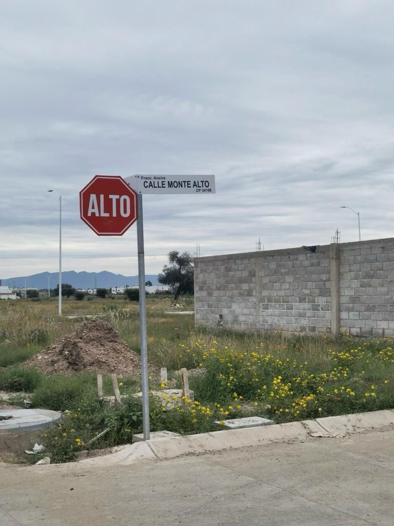 2 de 10
