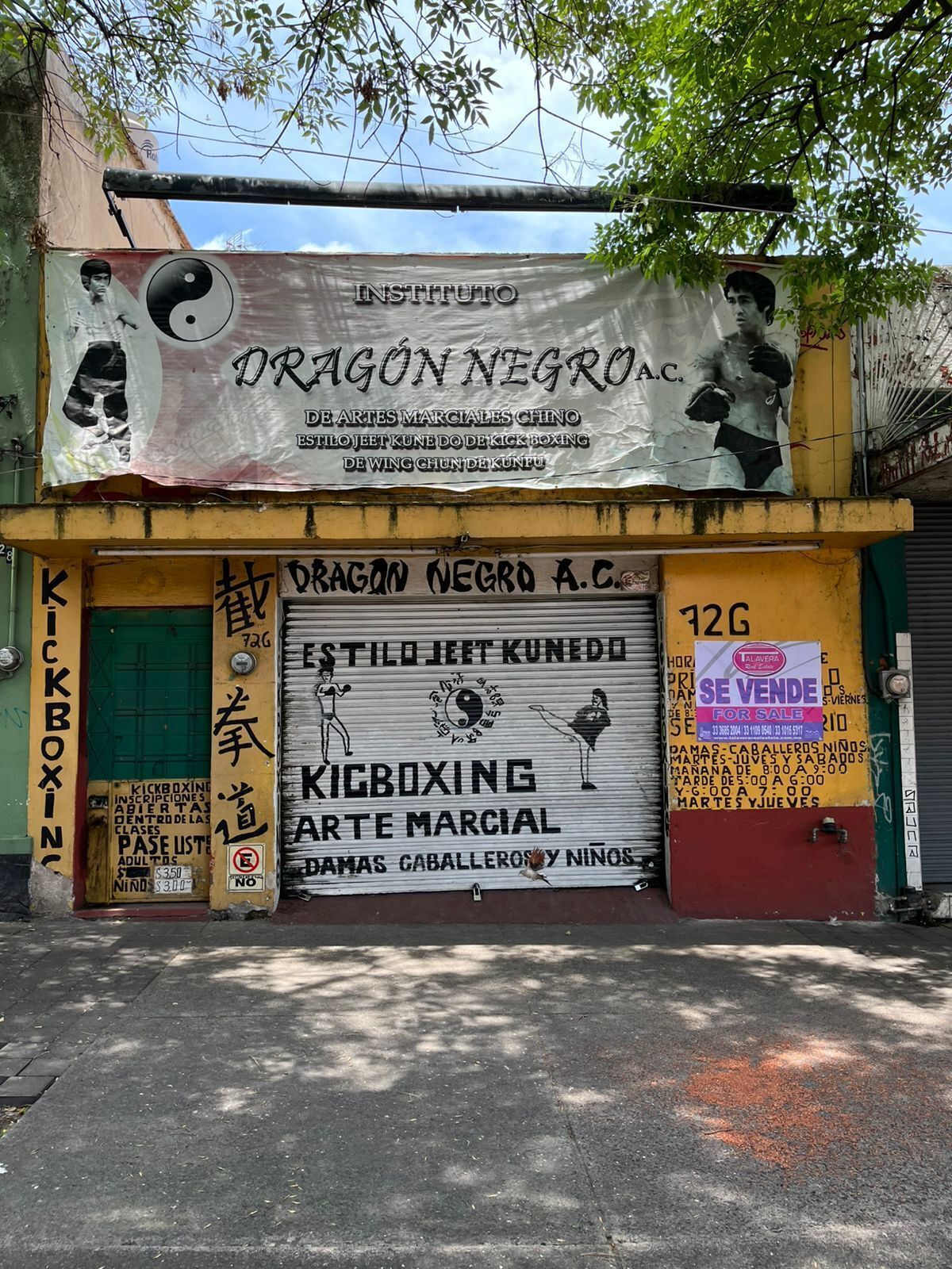 8 de 18
