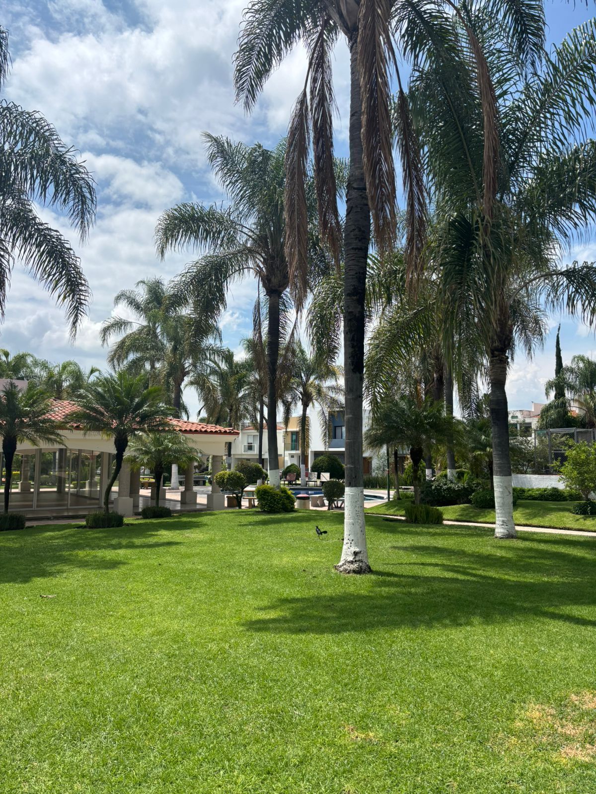 26 de 26