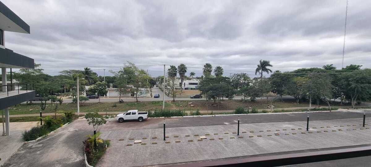 4 de 11