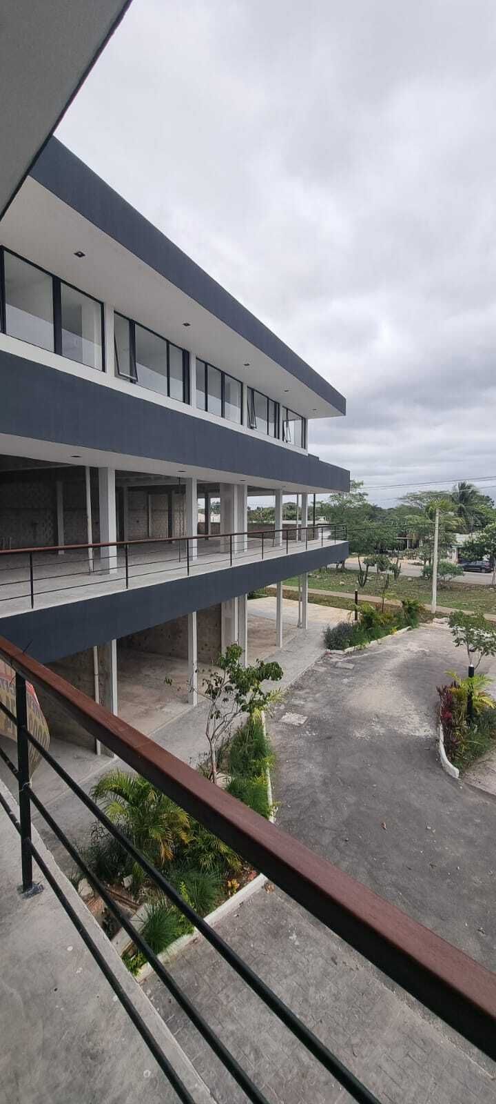 5 de 11