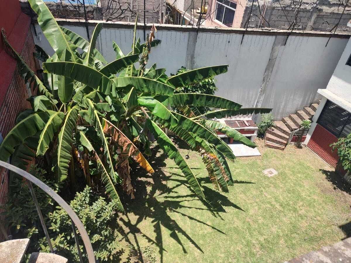 1 de 29