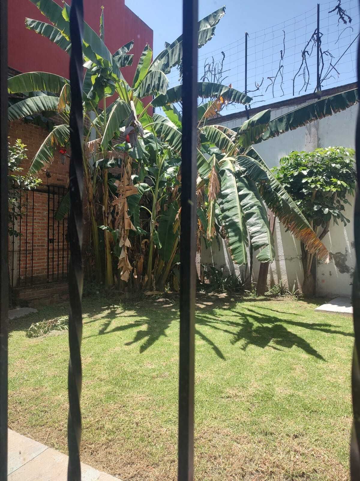 2 de 29