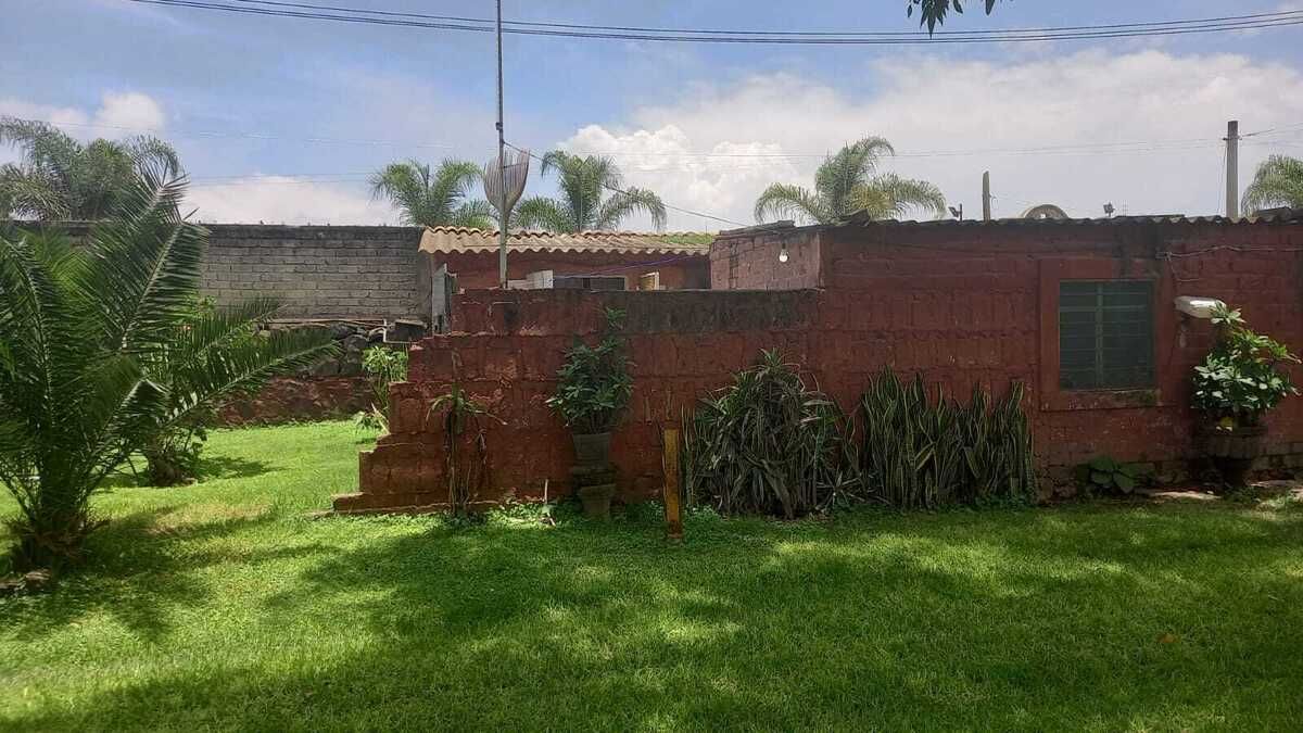 4 de 10