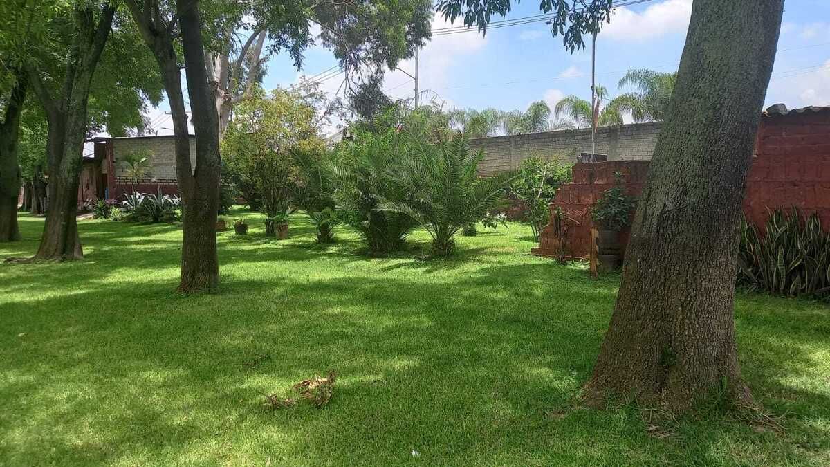 5 de 10