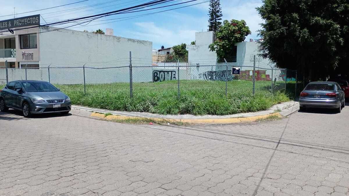 1 de 7