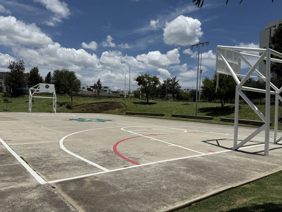 32 de 44