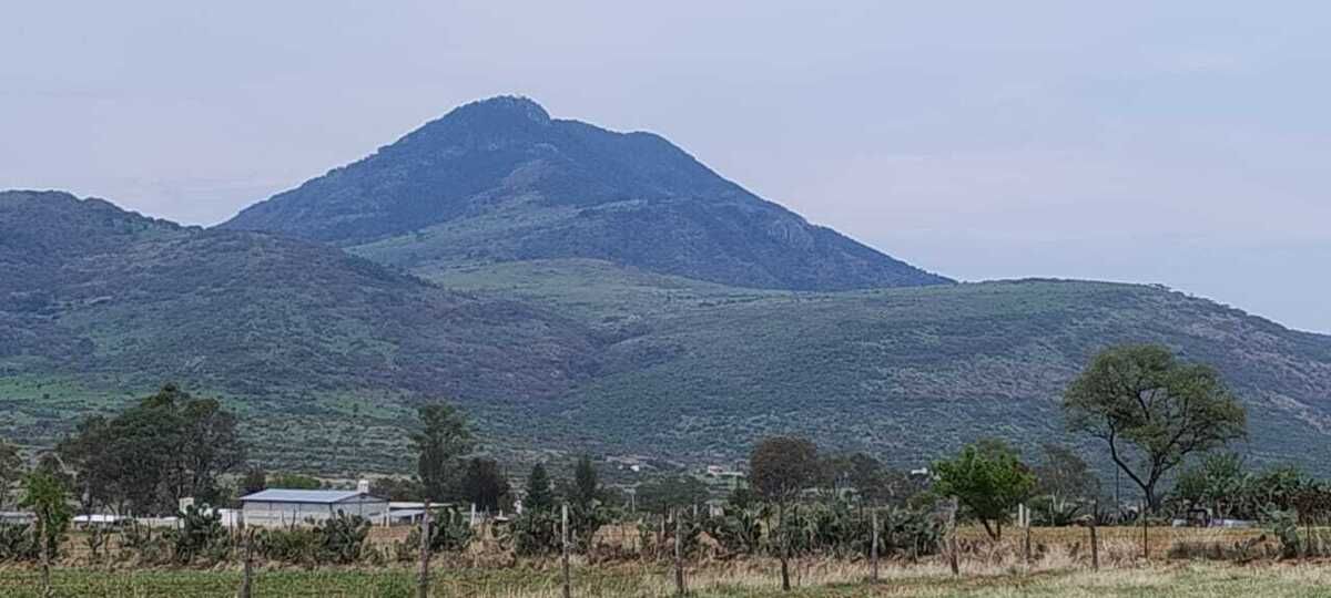 5 de 10