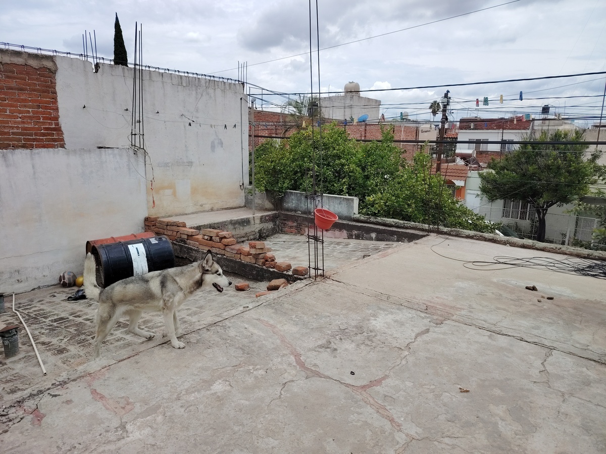 17 de 19