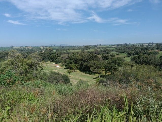 Vista Panorámica