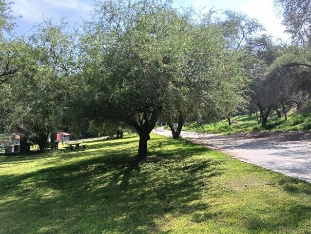 Vista de Vialidad