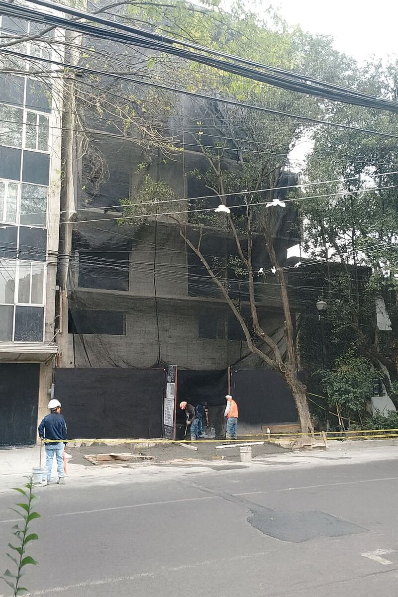 11 de 11
