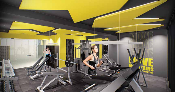 5 de 12: GYM