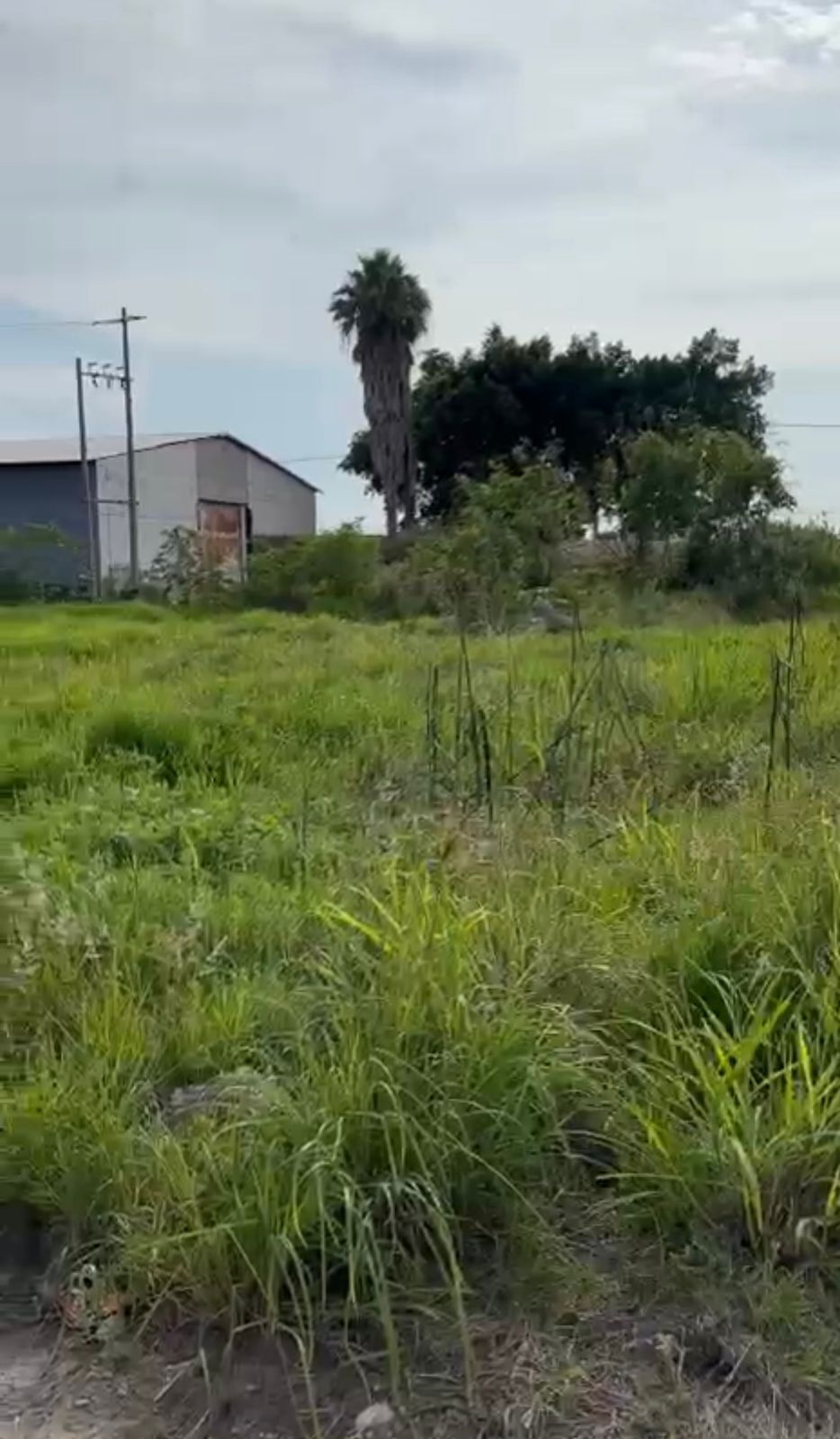 3 de 10