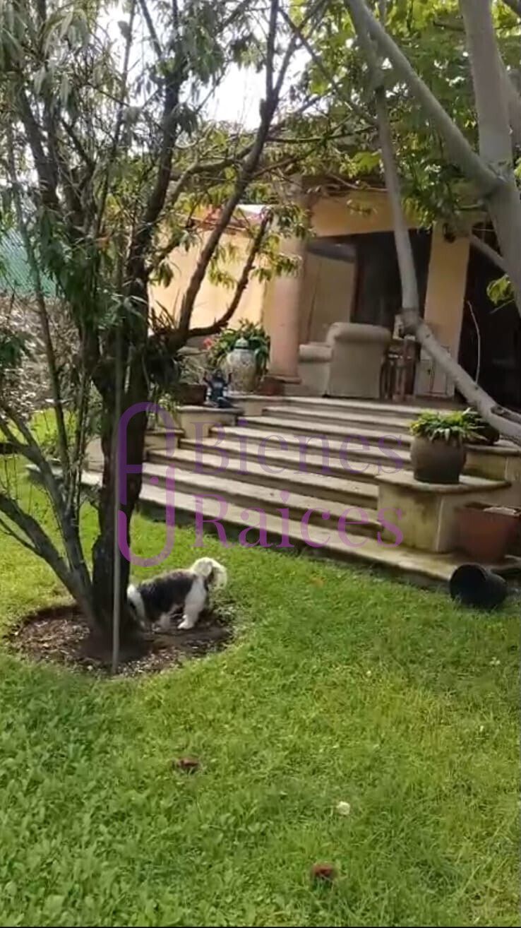 2 de 19