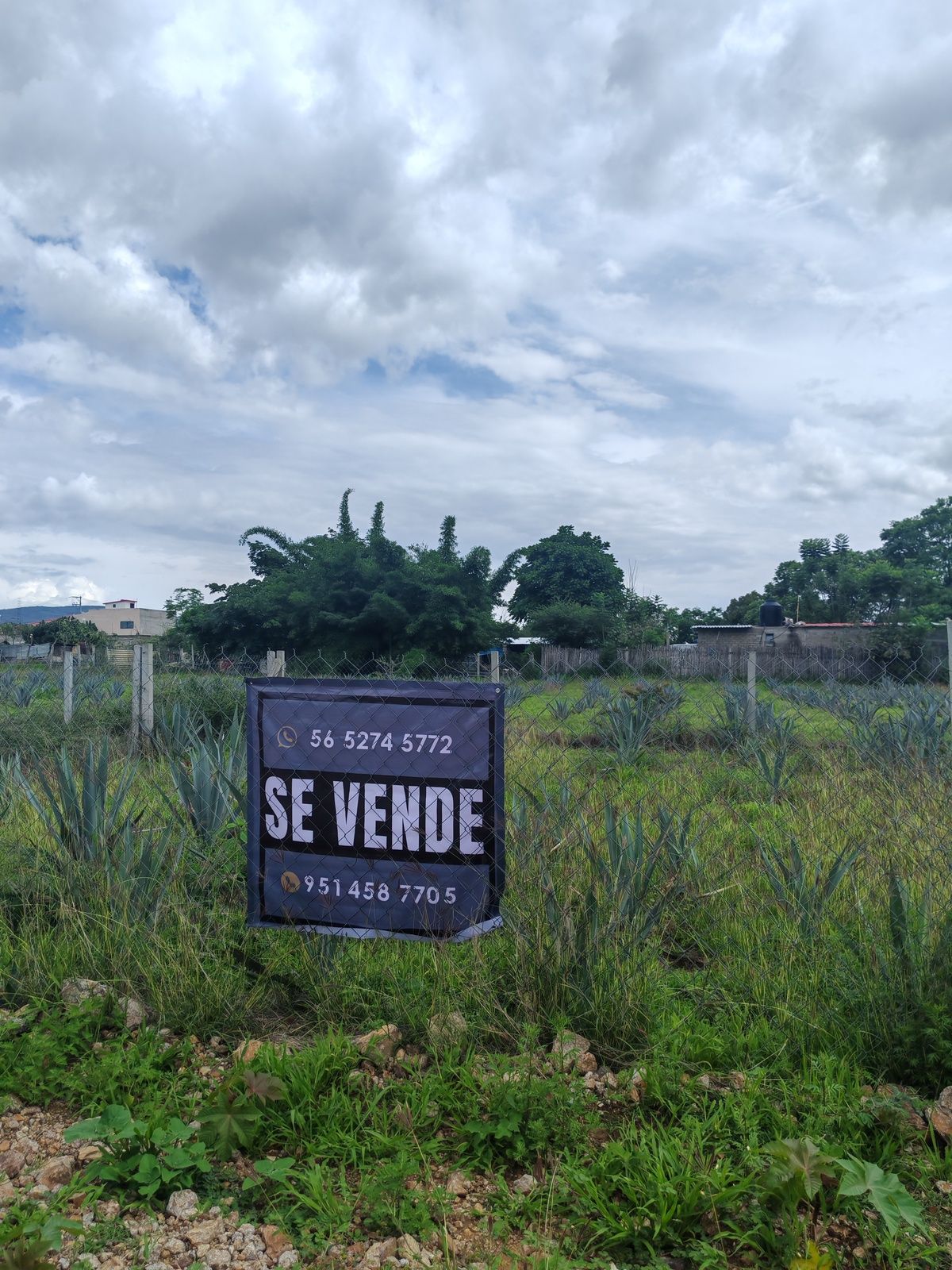 5 de 6