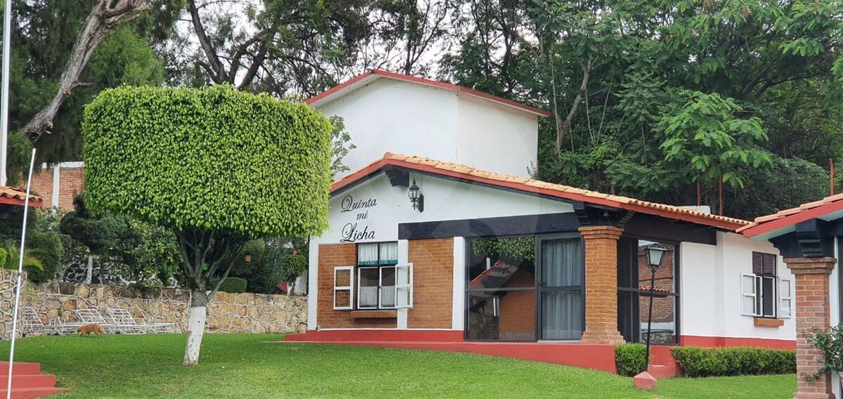 4 de 19