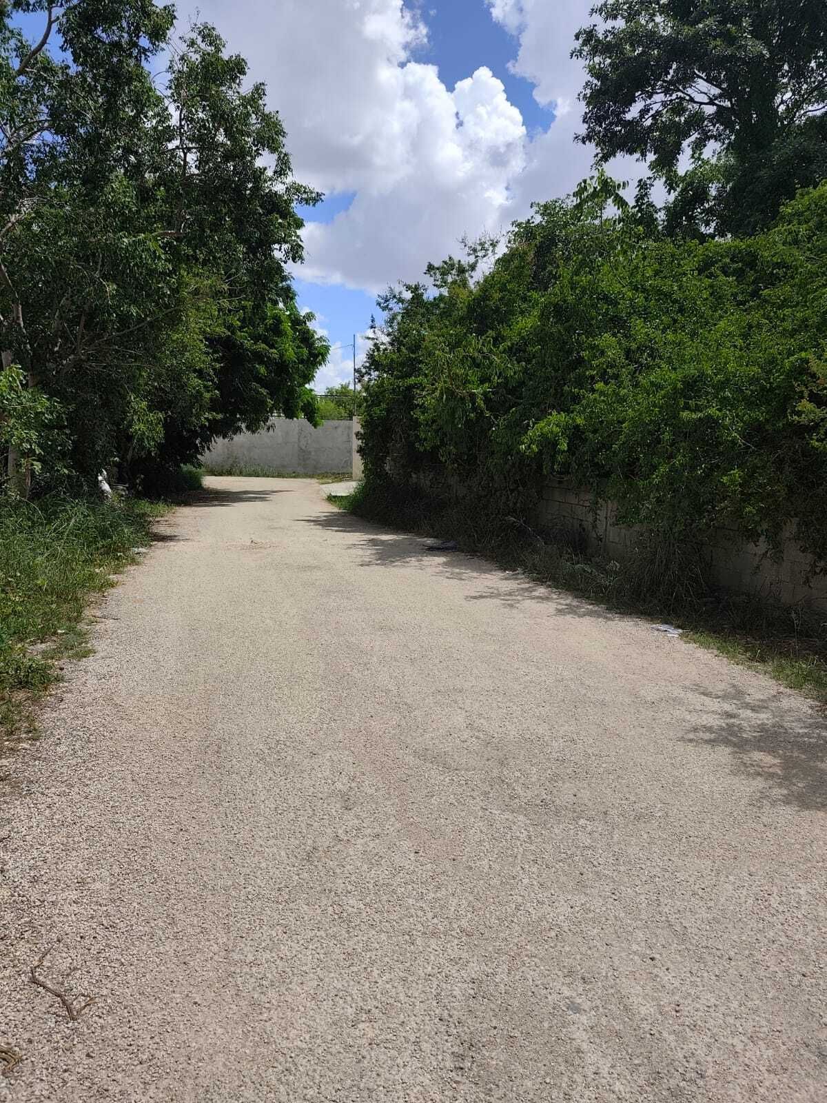5 of 11: calle lateral