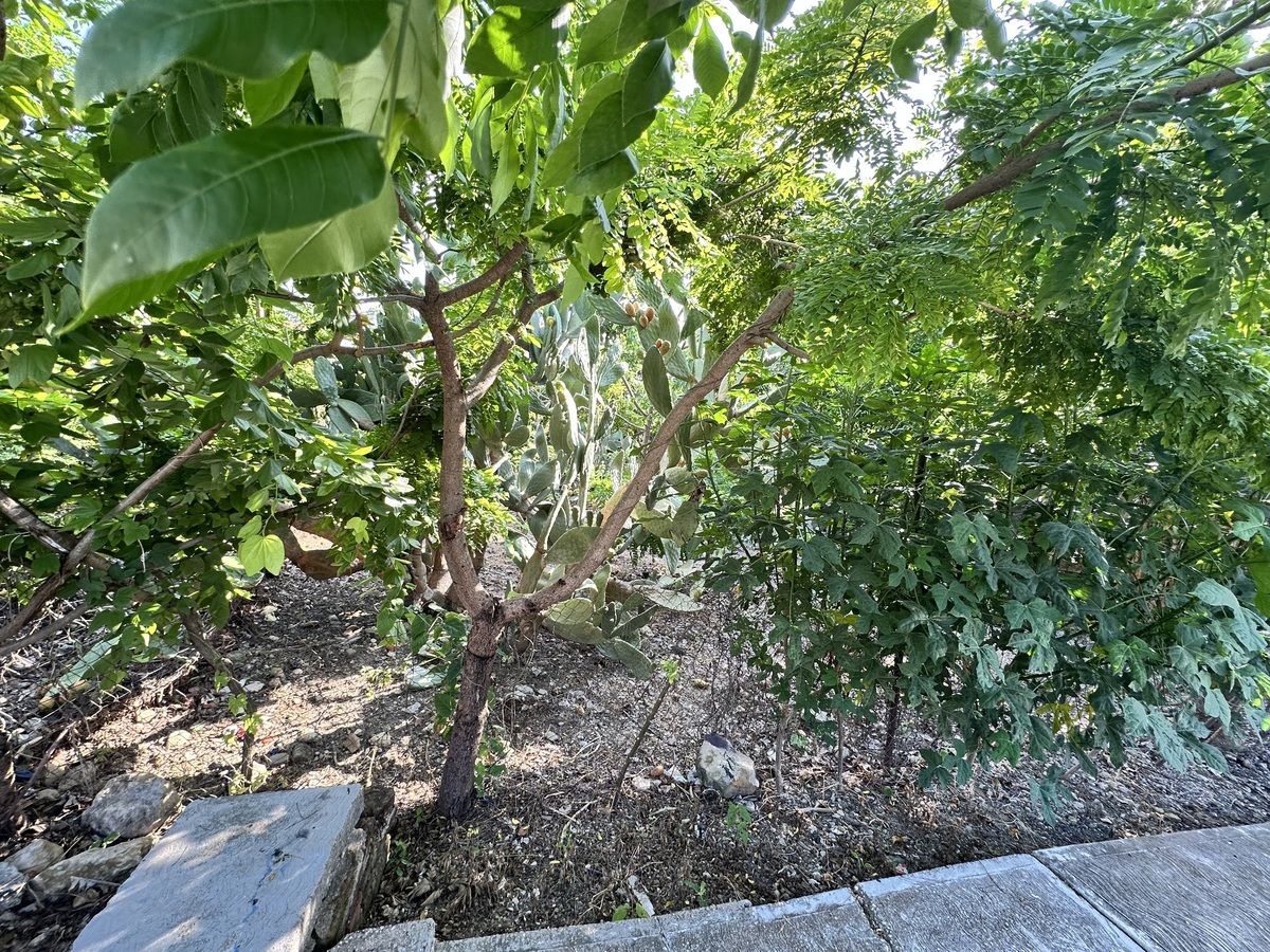 4 of 8