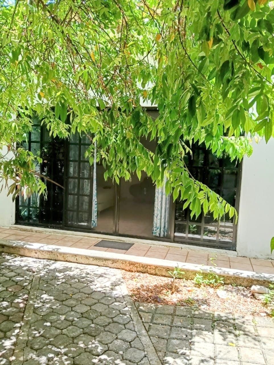 5 de 5