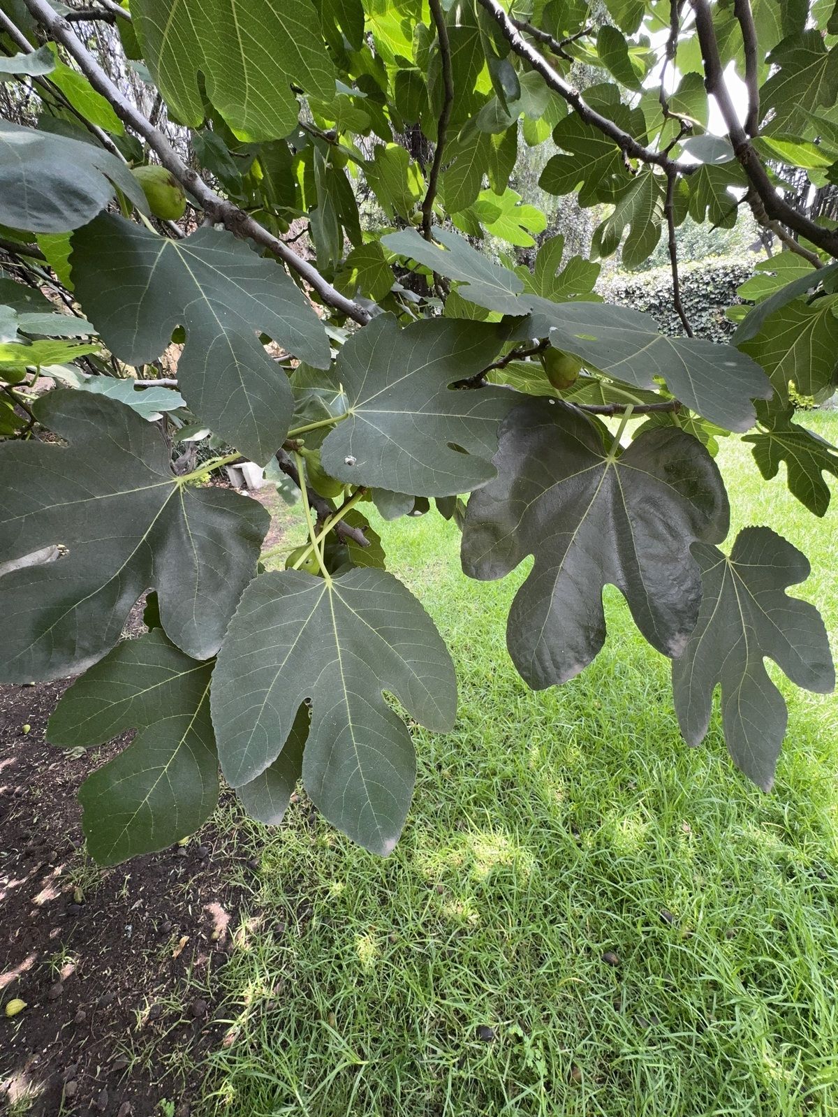 1 de 40