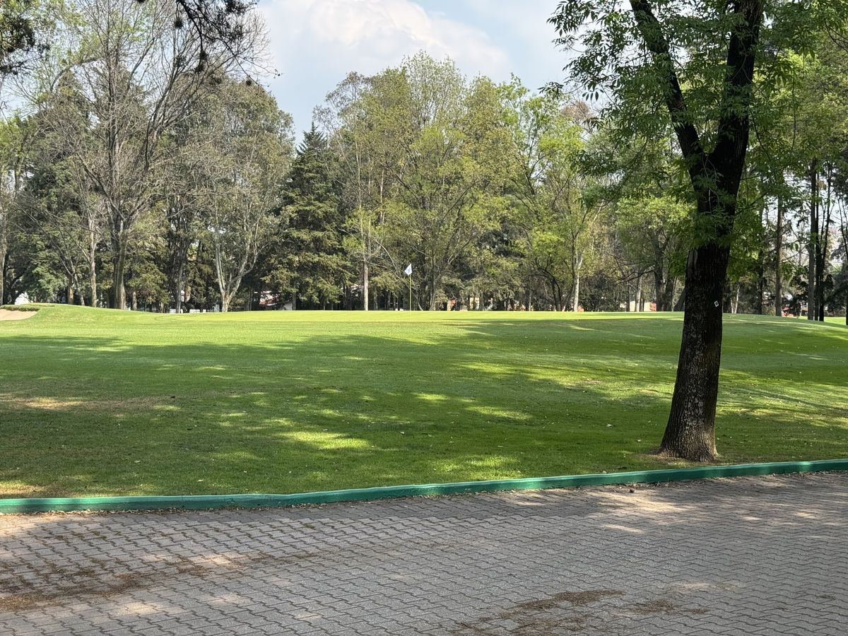 5 de 40