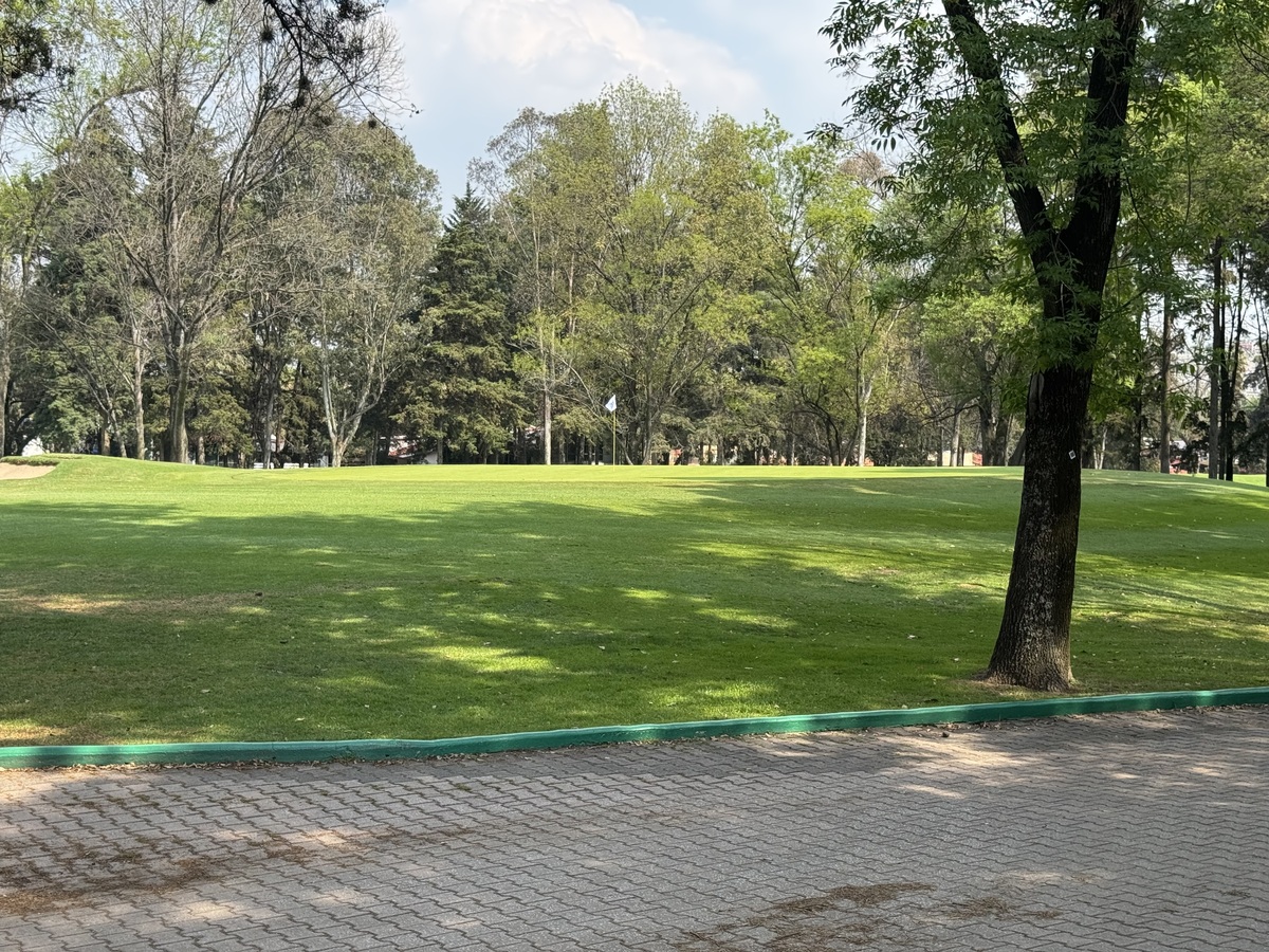 4 de 40