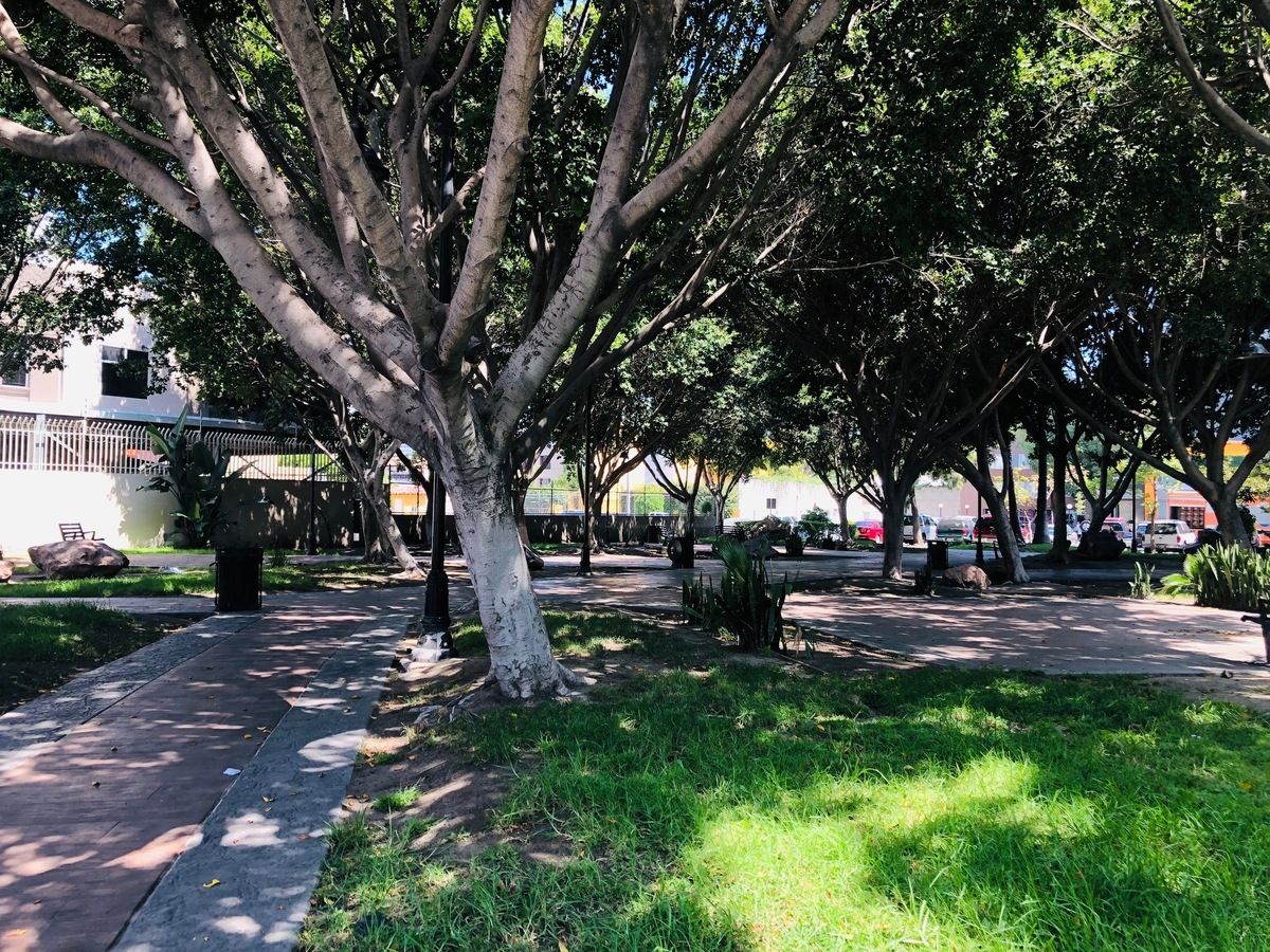 1 de 22: Parque
