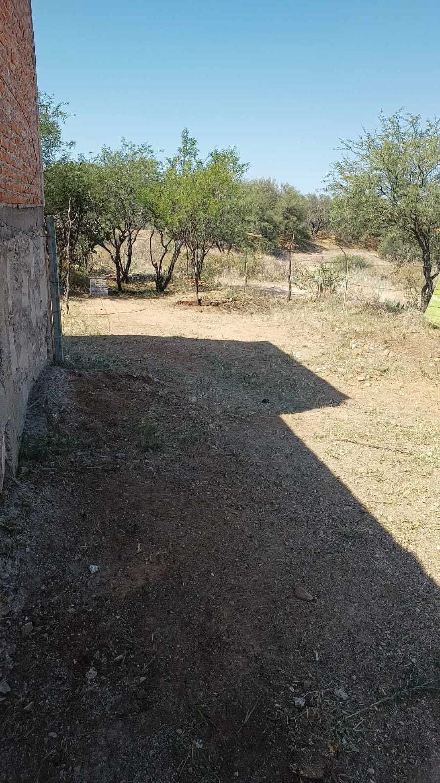 3 of 3